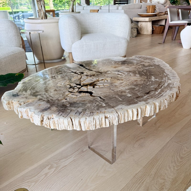 petrified wood table with lucite legs