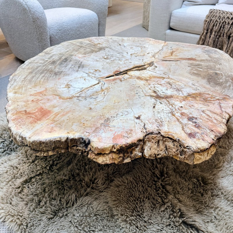 petrified wood coffee table with wood base