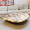 petrified wood coffee table with wood base