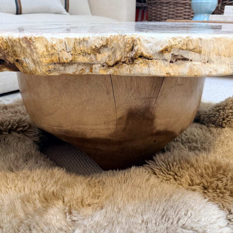 petrified wood coffee table with wood base