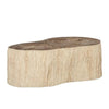 double trunk petrified coffee table