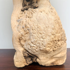 vintage driftwood sculpture lamp