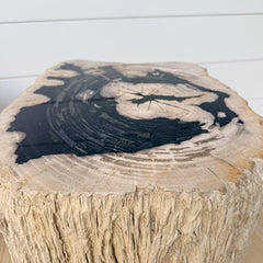 petrified wood end table, rough