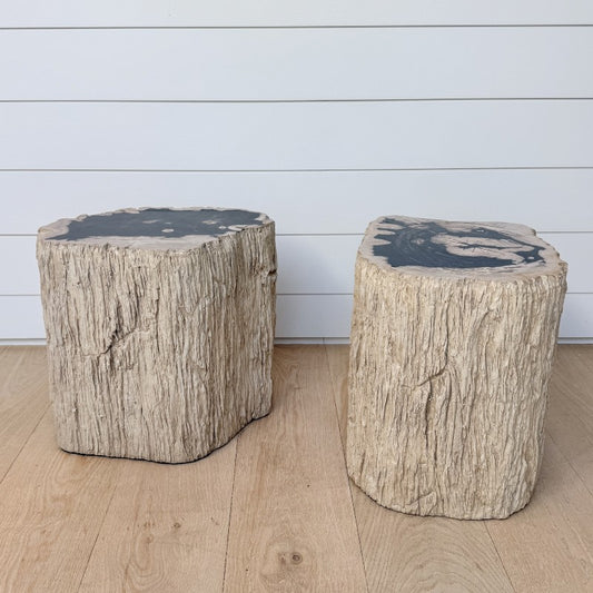 petrified wood end table, rough