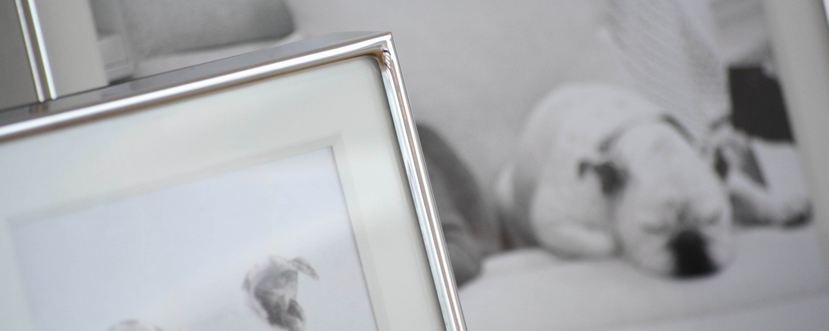 deco picture frame collection