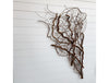 the wind in my heart 2024