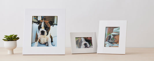 white lacquer picture frame collection