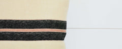 patagonian stripe pillow collection