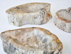 petrified wood bowls