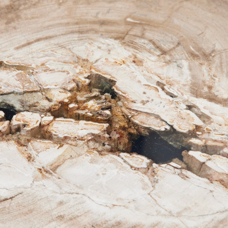 the petrified wood nesting coffee tables