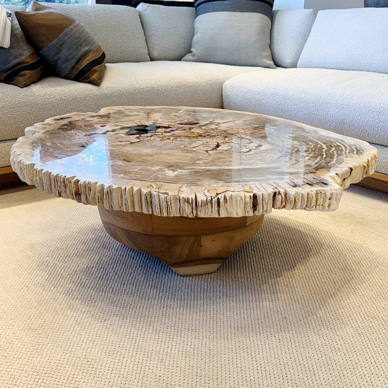 petrified wood top with wood base coffee table