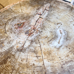 petrified wood top dining table