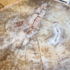 petrified wood top dining table