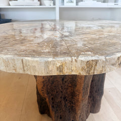 petrified wood top dining table