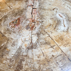 petrified wood top dining table
