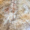 petrified wood top dining table