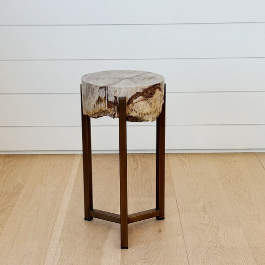 thick petrified wood slice side table