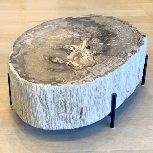 petrified wood coffee table on black frame base