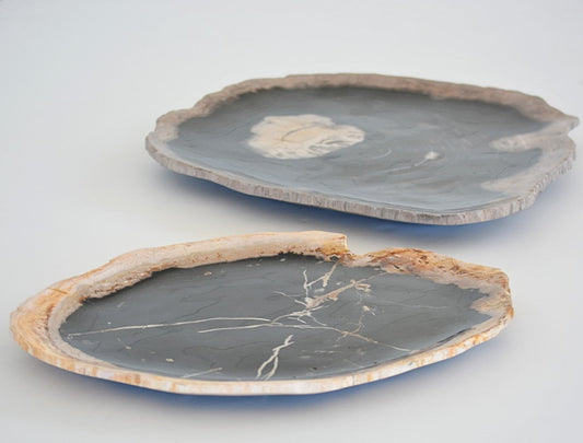 petrified wood plate, large
