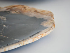 petrified wood plate, small