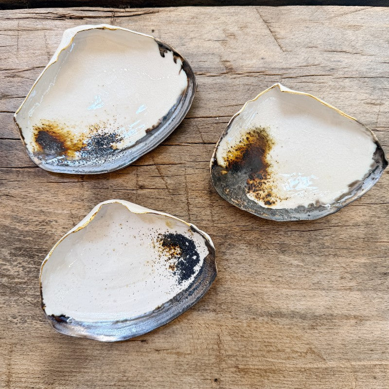atlantic clam shell