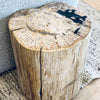 petrified wood stool
