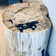 petrified wood stool