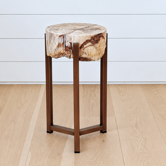 thick petrified wood slice side table