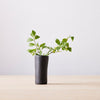 resin vince bud vase, black