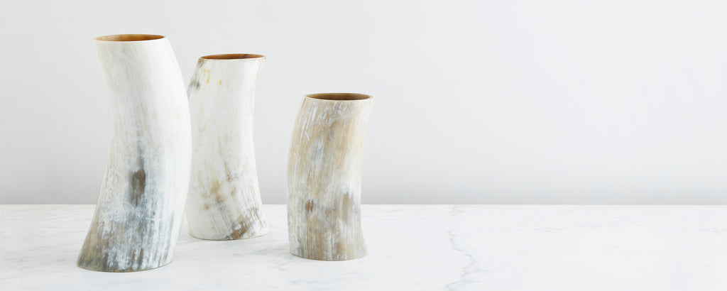 natural horn vases