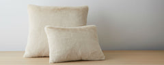 bewitched creme pillows