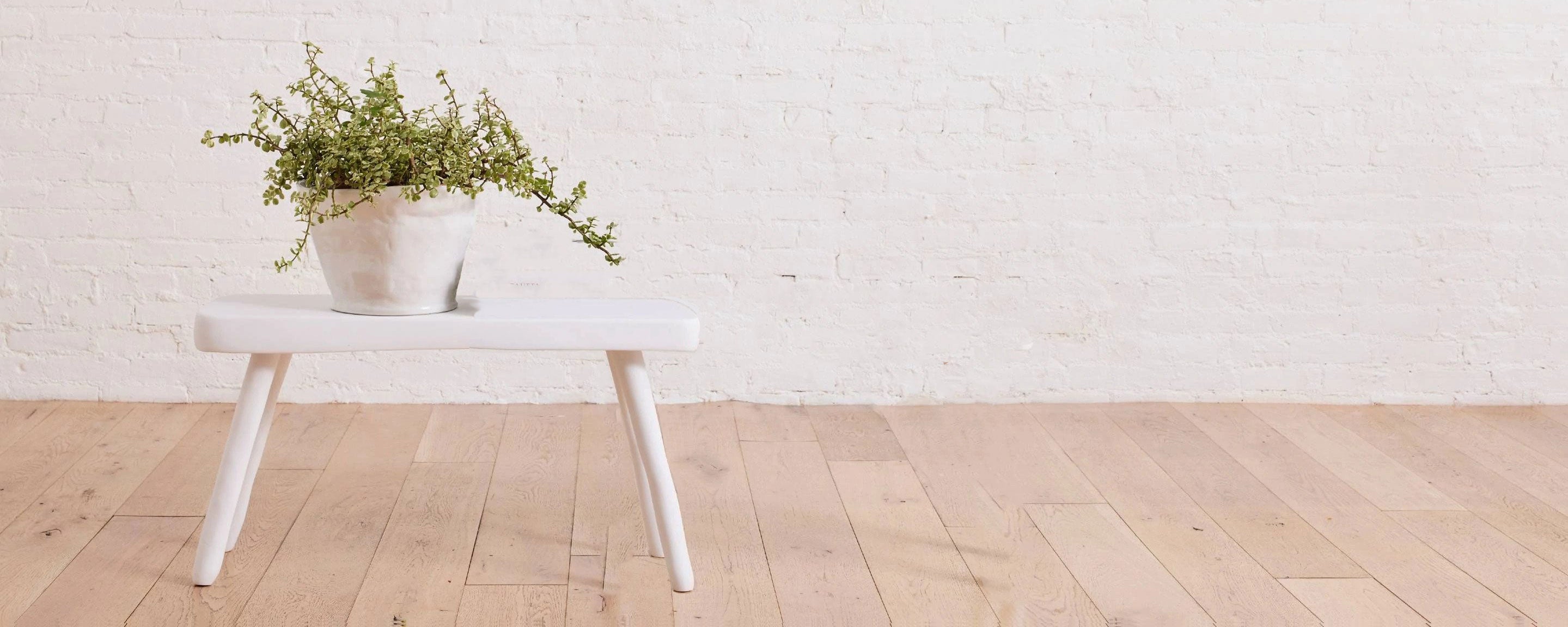 the resin petite bench by tina frey