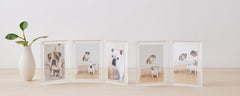 beveled double and triple picture frames