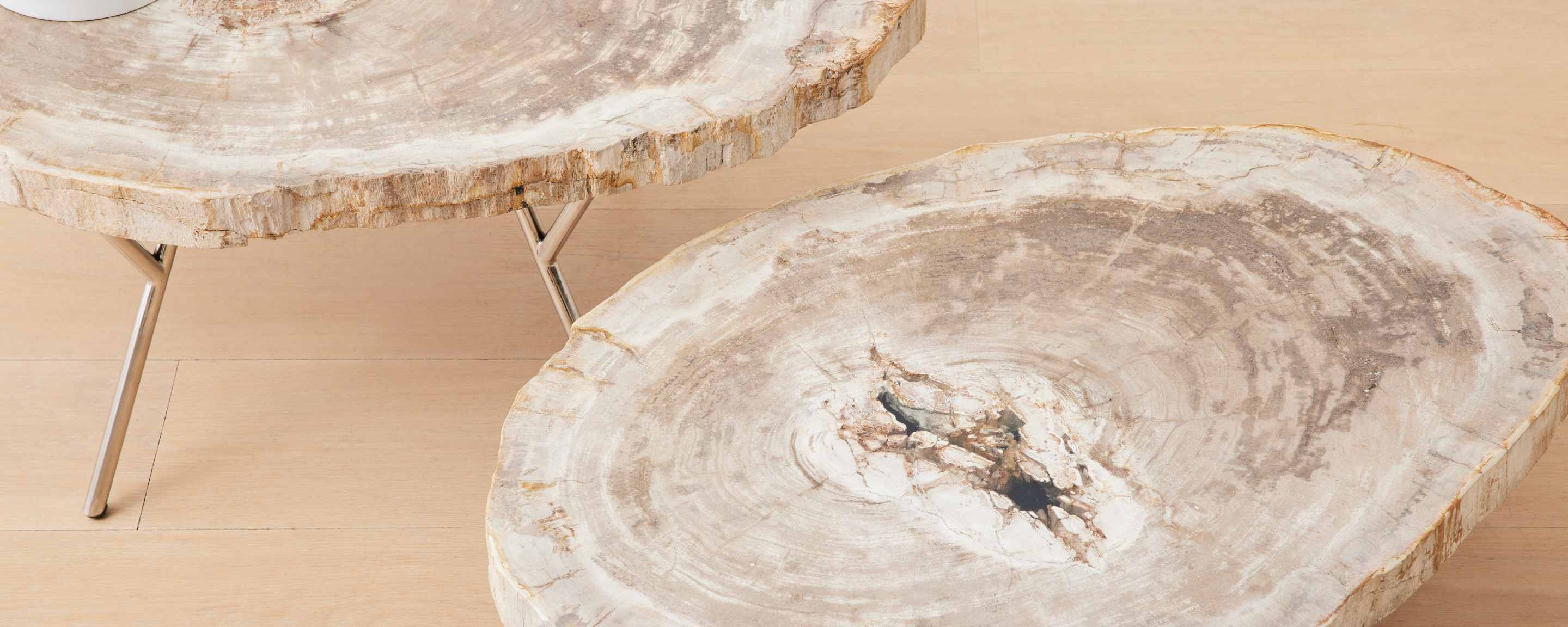 the petrified wood nesting coffee tables